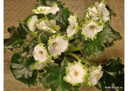 Кликните для увеличения изображения