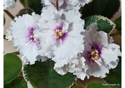 Кликните для увеличения изображения